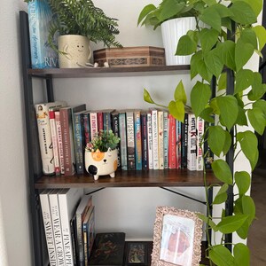 May include: A dark wood four-tier bookshelf featuring a variety of books, a trailing pothos plant in a white pot, a fern in a smiling face planter, a cat-shaped succulent planter, decorative boxes, and a floral-framed photograph of a baby.