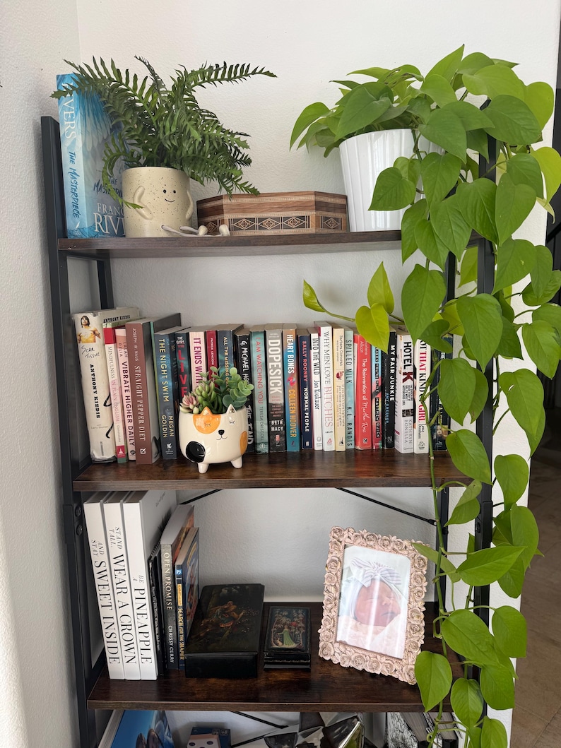 May include: A dark wood four-tier bookshelf featuring a variety of books, a trailing pothos plant in a white pot, a fern in a smiling face planter, a cat-shaped succulent planter, decorative boxes, and a floral-framed photograph of a baby.