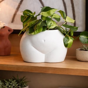 May include: A white ceramic planter shaped like a human form, holding a green and yellow leafy plant. The planter sits on a wooden shelf, with other plants and decor in the background.