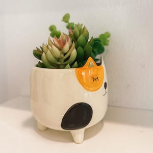 May include: A cream-coloured ceramic planter shaped like a cat with three small feet. The planter features a black spot on the side, an orange ear patch, and a painted face with closed eyes. It contains a green succulent plant with pink tips.
