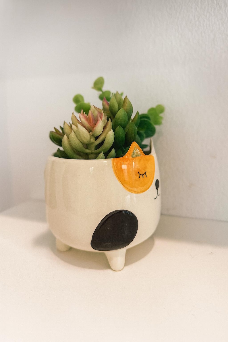 May include: A cream-coloured ceramic planter shaped like a cat with three small feet. The planter features a black spot on the side, an orange ear patch, and a painted face with closed eyes. It contains a green succulent plant with pink tips.
