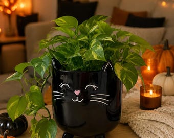 May include: A black ceramic cat-shaped planter with small ears, white painted eyes, whiskers, and a pink heart-shaped nose. The planter sits on three small feet and contains a green pothos plant with variegated leaves trailing over the side.
