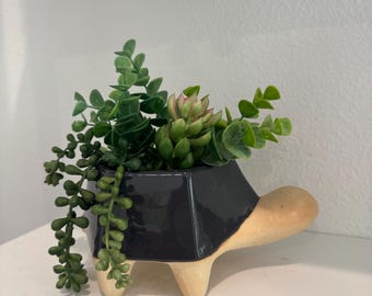 Turtle Planter | Succulent Planter | Turtle Planter Pot | Gift for Turtle Lovers | Mother's Day Gift