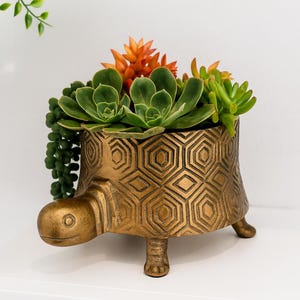 May include: A metallic gold turtle-shaped planter featuring a textured hexagonal pattern on its shell. The planter is filled with a variety of green and orange succulent plants, including a trailing string of pearls plant hanging over the side.