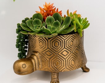 May include: A metallic gold turtle-shaped planter featuring a textured hexagonal pattern on its shell. The planter is filled with a variety of green and orange succulent plants, including a trailing string of pearls plant hanging over the side.