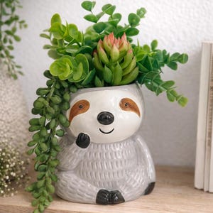 Sloth Pencil Holder | Cute Animal Pot | Sloth Lover Gift | Desk & Home Décor | Succulent Planter | Birthday Present "