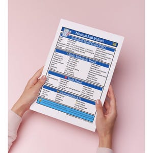 Puede incluir: Un papel blanco con resultados de pruebas médicas, que incluyen hemograma completo, panel metabólico básico, panel de lípidos y hemoglobina A1c, se sostiene sobre un fondo rosa. El papel tiene texto azul y negro. El papel es sostenido por una persona.