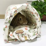 Rabbit Tunnels
