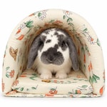 Rabbit Accessories