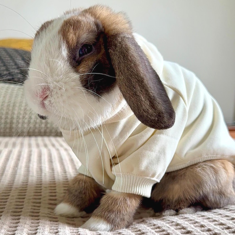 Bunny Clothes: Rabbit Cotton Hoodie & Cozy Hooded Sweatshirt Pet ...