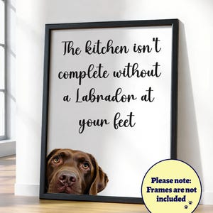 Schokolade Labrador Küche Poster: Lustiges Hunde Geschenk