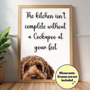 Affiche de cuisine cockapoo drôle : cadeau pour amoureux des chiens, portrait d'animal de compagnie, abricot