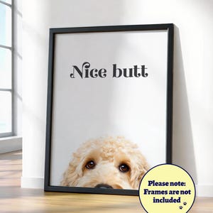 Puede incluir: Impresión artística enmarcada con la cara de un perro asomando por la parte inferior. El texto "Nice butt" está impreso en la parte superior. La impresión está en un marco negro y se apoya en una pared blanca.
