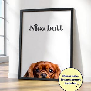 Op de afbeelding: Een ingelijste print met de tekst "Nice butt" boven het gezicht van een Cavalier King Charles Spaniel. De print zit in een zwart frame en leunt tegen een witte muur. Een gele cirkel met tekst staat in de rechter benedenhoek.