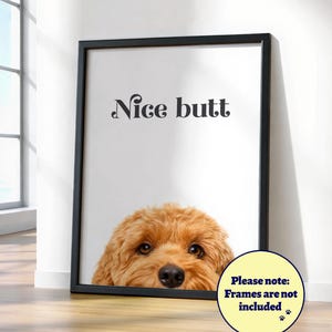 Può includere: Una stampa incorniciata con la faccia di un cane e il testo "Nice butt". La stampa è esposta su un pavimento in legno contro un muro bianco. L'immagine include una nota che indica che le cornici non sono incluse.