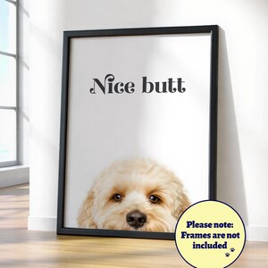 Könnte beinhalten: Ein gerahmter Druck mit dem Text "Nice butt" über dem Gesicht eines Hundes. Der Hund hat hellbraunes Fell und dunkle Augen. Ein gelber Kreis mit dem Text "Please note: Frames are not included" befindet sich unten rechts.