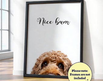 Lustiges Cockapoo 'Nice Bum' Poster: Badezimmer Hund Wand Kunst, Haustier Porträt, Cockapoo Geschenk Apricot