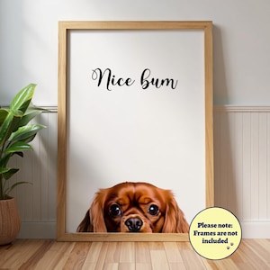 Zabawny plakat z Cavalier King Charles Spaniel „Nice Bum”: Sztuka ścienna z psem, portret zwierzaka, Ruby