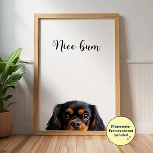 Poster drôle « Nice Bum » Cavalier King Charles Spaniel : oeuvre d'art murale chien, dos beige