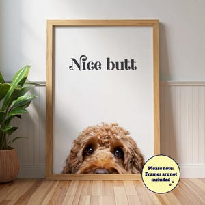 Puede incluir: Un estampado enmarcado con el texto "Nice butt" en una fuente decorativa. La parte inferior de la cara de un perro marrón es visible debajo del texto. El marco es de color marrón claro y el fondo es blanco. Una planta en maceta está a la izquierda.