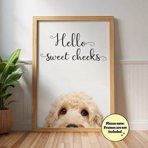 Póster divertido de Cockapoo "Hola, lindas mejillas": Arte de pared para baño, Cockapoo color albaricoque