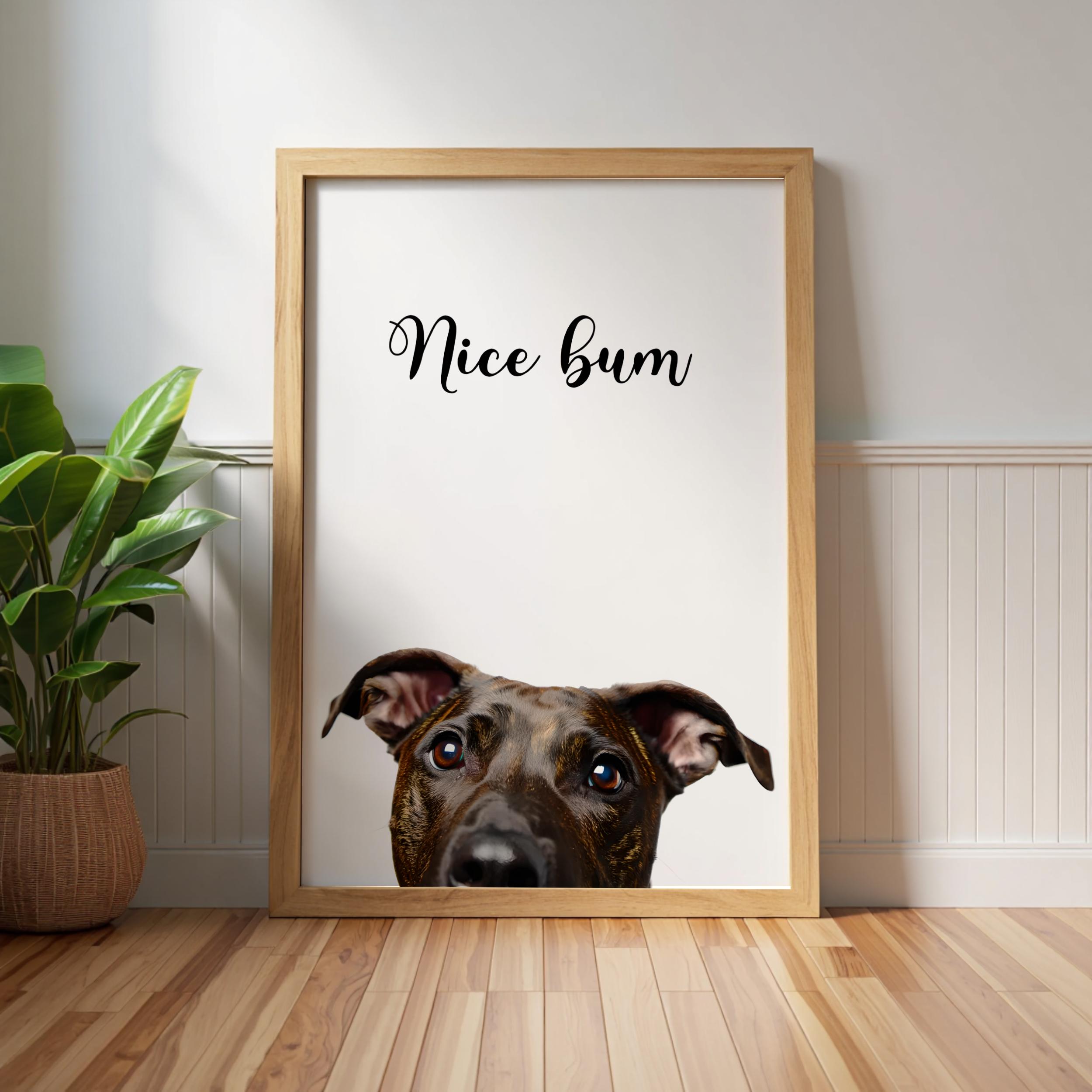 Staffy Quote UK