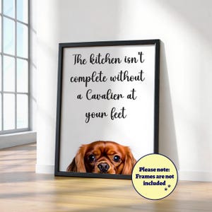 May include: A framed print with the text "The kitchen isn't complete without a Cavalier at your feet." A Cavalier King Charles Spaniel peeks from the bottom. The print is in a black frame. Note: Frames are not included.