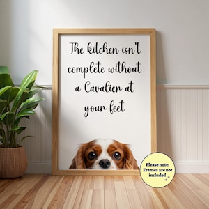 Cavalier Kitchen väggkonst: Hundälskare-poster, Ruby och White King Charles Spaniel