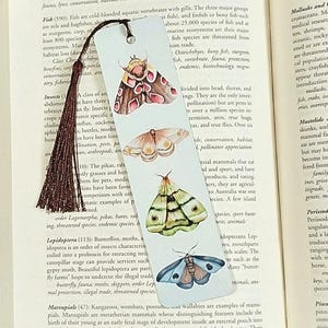 May include: A rectangular white bookmark featuring four distinct moth illustrations in shades of brown, pink, cream, green, and blue. A dark brown tassel is attached to the top through a small hole, resting against a page of printed text.