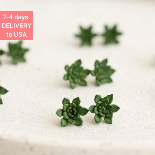 Green Echeveria succulent stud earrings 2 cm SE009