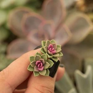 Ready to ship - Succulent Stud Earrings - Green Purple Echeveria Plant Hypoallergenic Earrings Small Succulent Jewelry Gift Plant Lover Gift