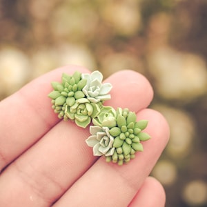 Succulent Stud Earrings - Green Echeveria Plant Hypoallergenic Earrings Small Succulent Jewelry Gift Plant Lover Gift plants studs