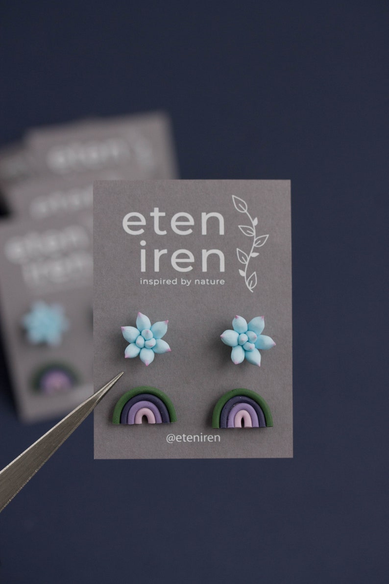 Two Pair Set Blue Pink Succulent Plant Modern rainbow earrings Multicolor Hypoallergenic Earrings Studs Succulent Stud Earrings