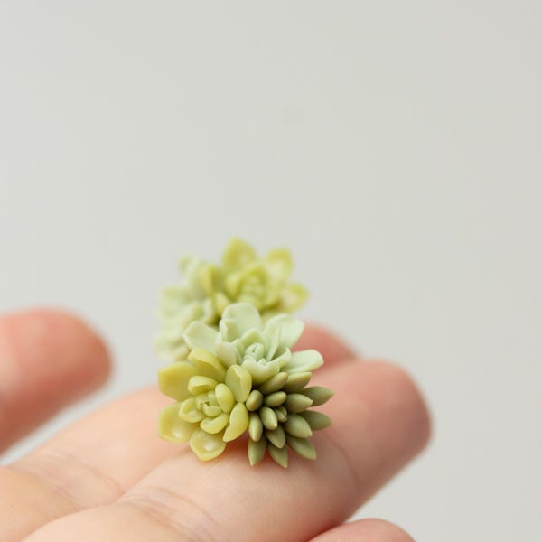 Sappige oorknopjes, botanische sieraden, cadeau plantenliefhebber, groene ministekers