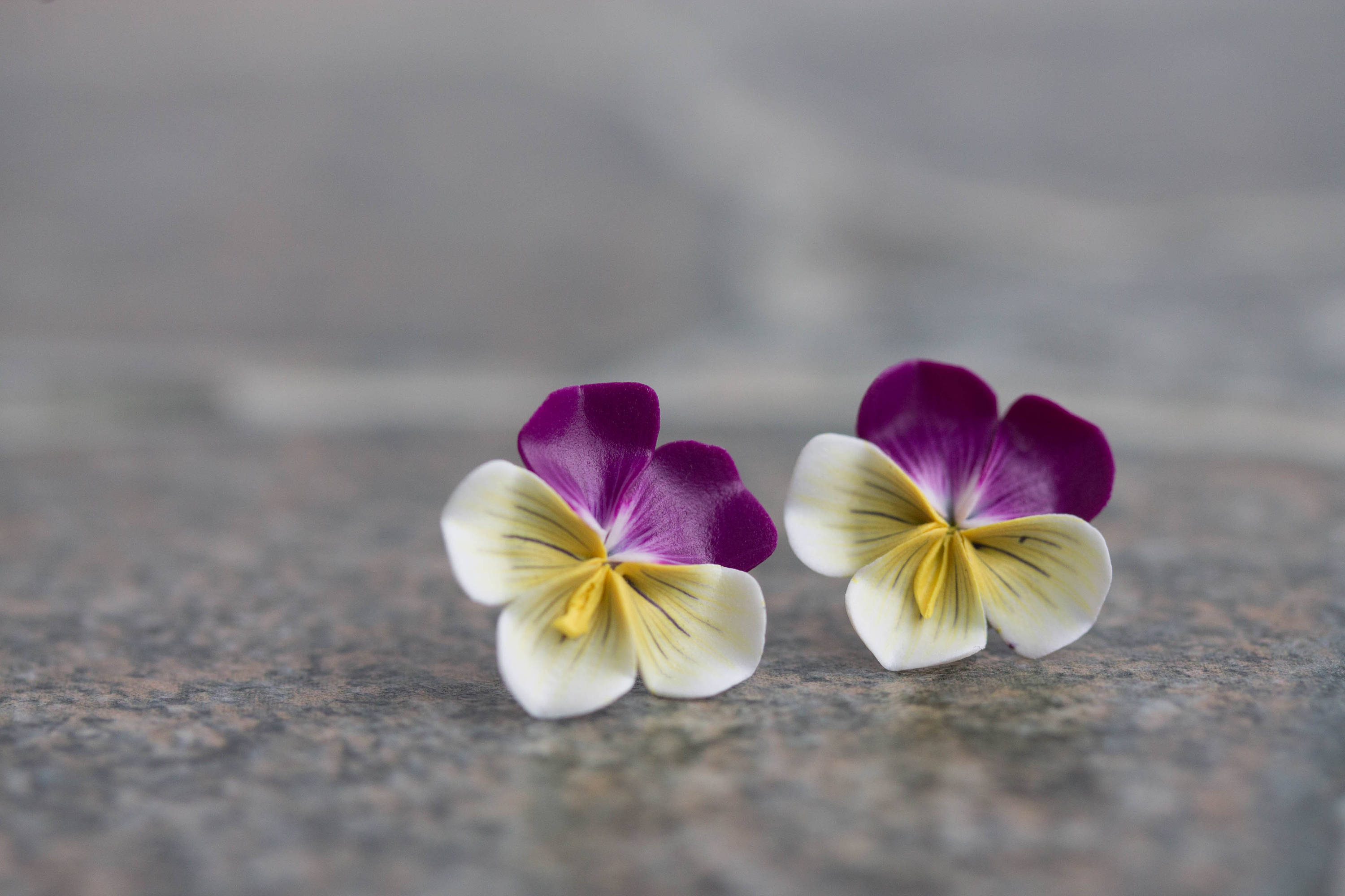 Purple White Yellow Pansies Kiss me quick Flower Floral Etsy