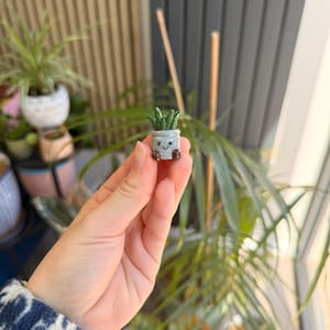 Mini fimo cactus - Etsy Schweiz