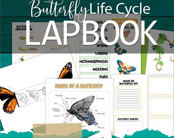 Butterfly Life Cycle Lap Book