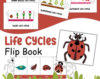 Life Cycles Flip Books