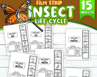 Printable Insect Lifecycle Film Strips