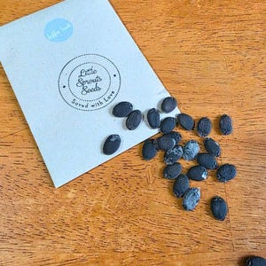 May include: A light-colored paper packet with the text "Little Sprouts Seeds" and scattered black seeds on a wooden surface. The packet has a blue circle with the words "Luffa Seeds".