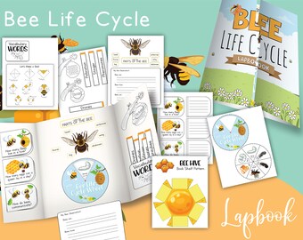 Livre de tours du cycle de vie des abeilles imprimable
