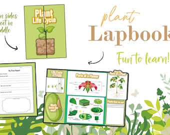 Lapbook sur le cycle de vie des plantes