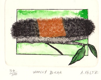 Woolly Bear