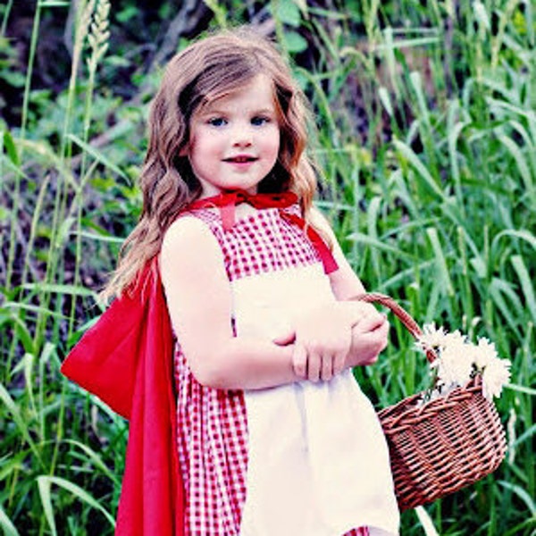 Little Red Riding Hood Halloween Costume- Dress and Hood- Toddler, Girl