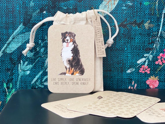 Life Lessons from a Dog Cards | Friendship Gift | Dog Lover Affirmation Deck Quotes | Motivation Cards | Dog...