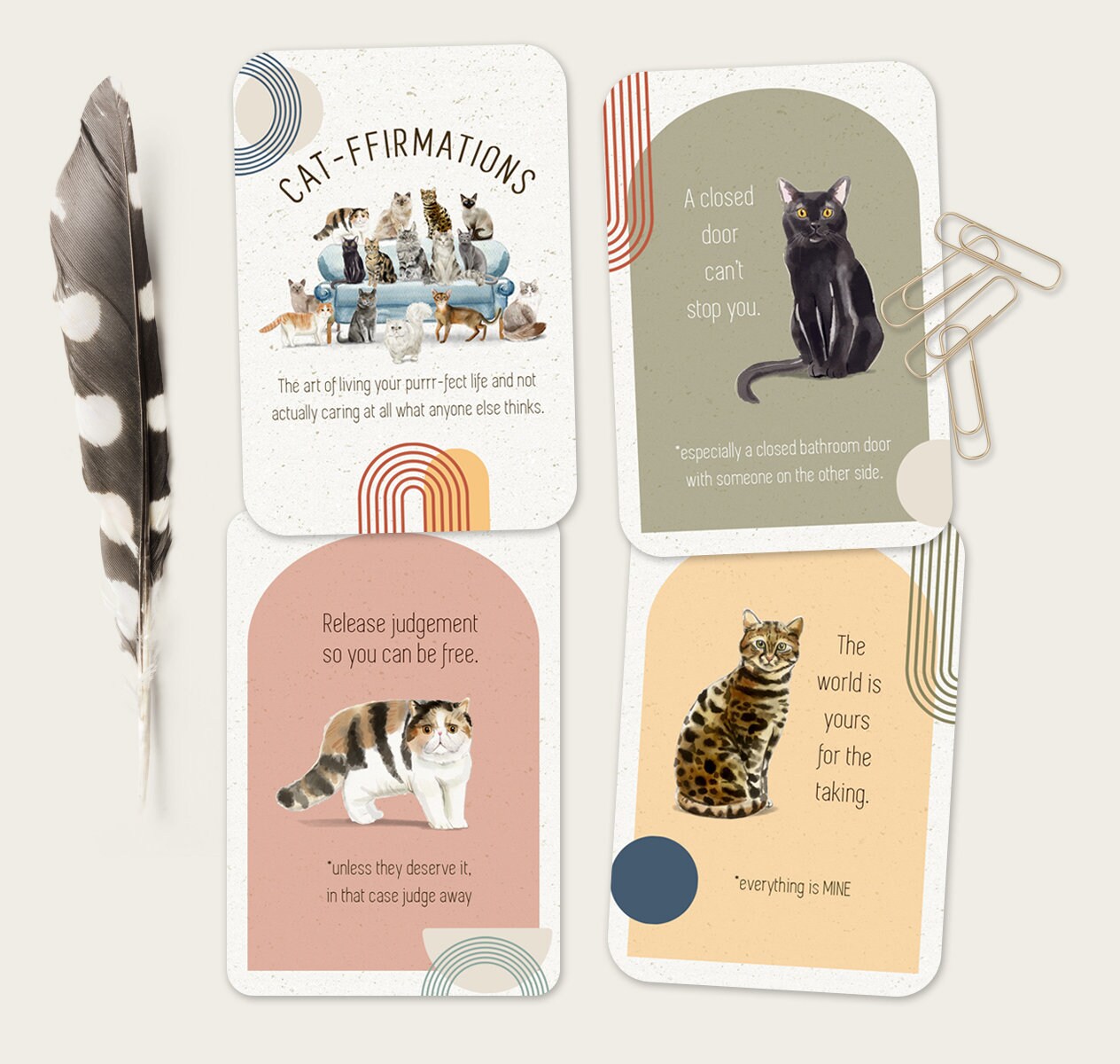 Catffirmations Funny Cat Cards | Friendship Gift | Cat Lover Affirmation Deck Quotes | Motivation Cards | Cat Lessons