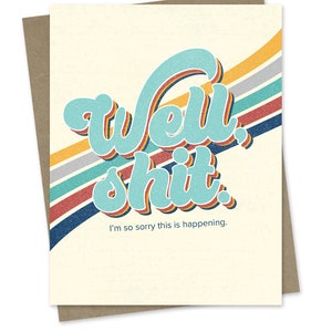 Retro Rainbow Adult Swearing Card Sympathy Thinking of You Encouragement Card Well Shit Funny Greeting Friend Card image 2