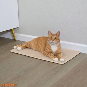 May include: An orange tabby cat with white paws and chest rests on a beige rectangular pet mat. The cat is lying down, looking directly at the camera. The mat is on a wooden floor.
