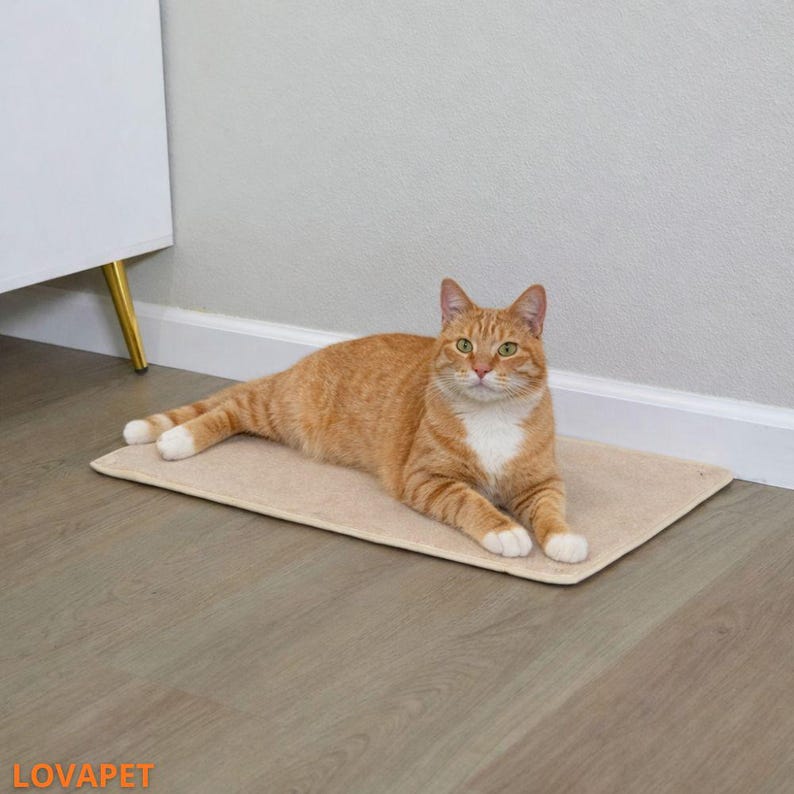 May include: An orange tabby cat with white paws and chest rests on a beige rectangular pet mat. The cat is lying down, looking directly at the camera. The mat is on a wooden floor.