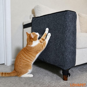 Peut inclure: Un griffoir gris foncé fixé à un canapé. Un chat roux et blanc interagit avec le griffoir. Le griffoir protège le canapé des griffures. Le chat tend ses pattes vers le griffoir.